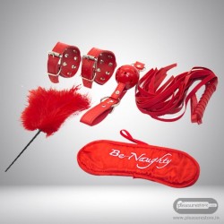 BDSM SEX KIT Bracelet+Whip+Goggles+Feather+Mouth Ball GagBDSM-01