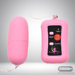 Remote Control Vibrating Egg BV-003