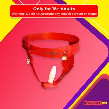 Chastity Lock Device for Women BDSM-002