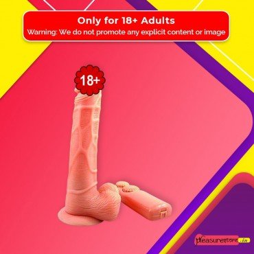 Mr.Realistic Vibrator V2 RSV-027
